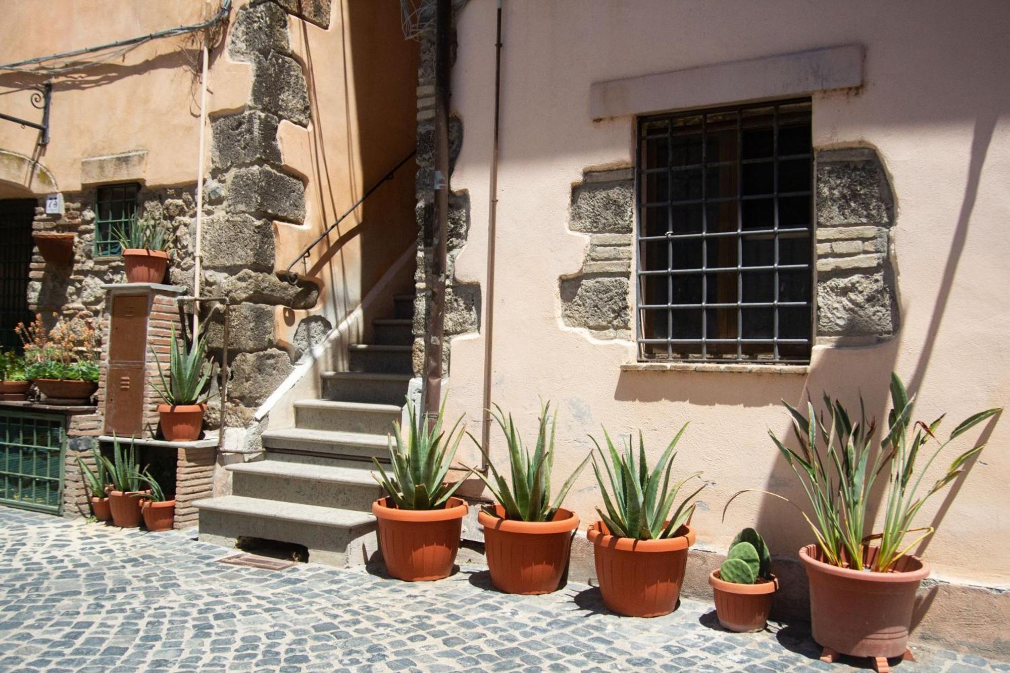 Finestra Sul Borgo Apartment Trevignano Romano Exterior photo